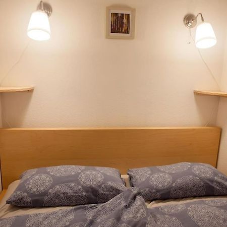 Gemuetliches 2P-Apartment In Ruhiger Lage Dresden Eksteriør billede